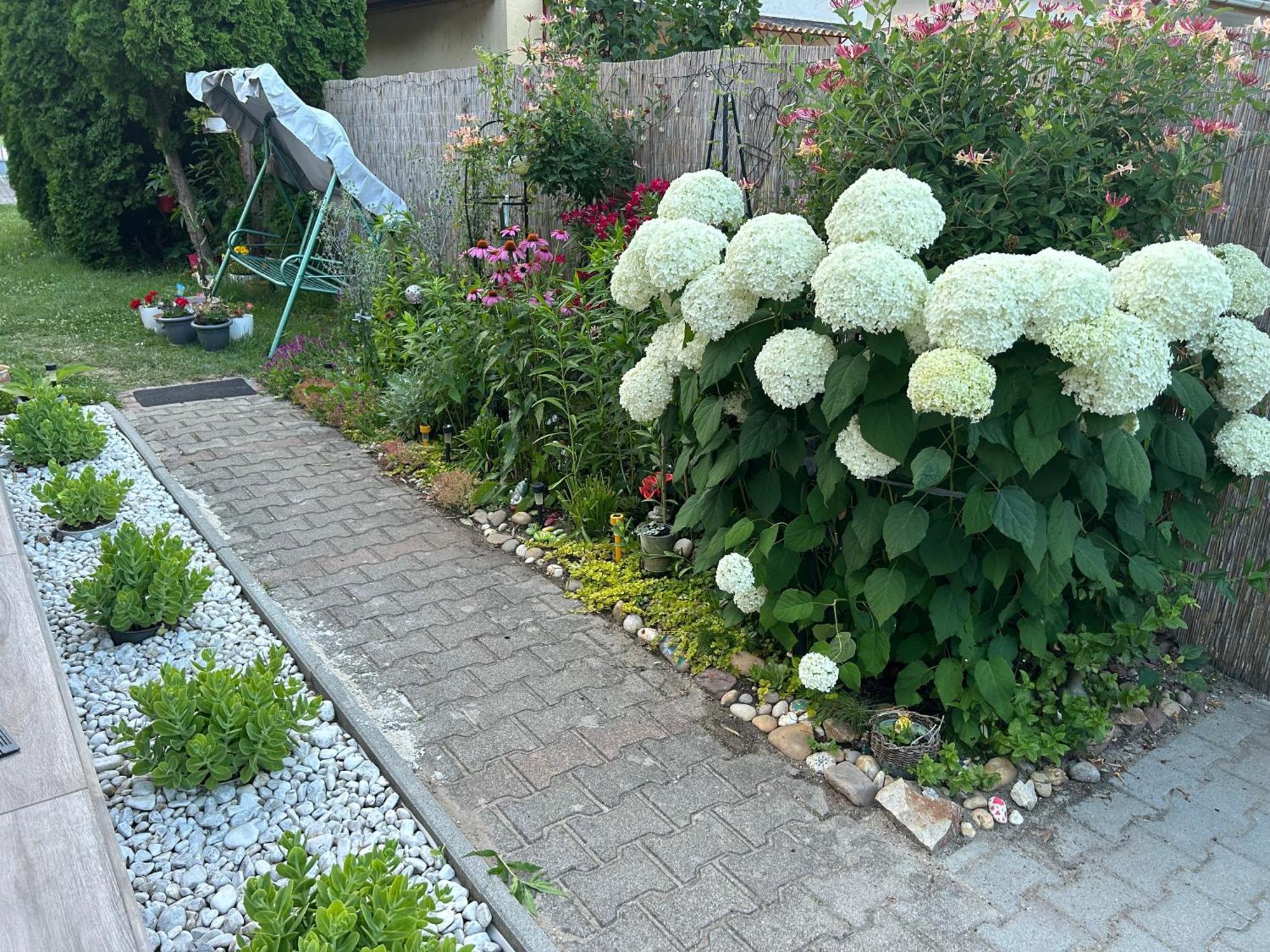 שיופוק Noemi89 Apartman מראה חיצוני תמונה